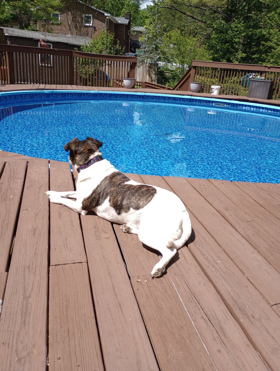 Paul.Gods Warrior tweet media