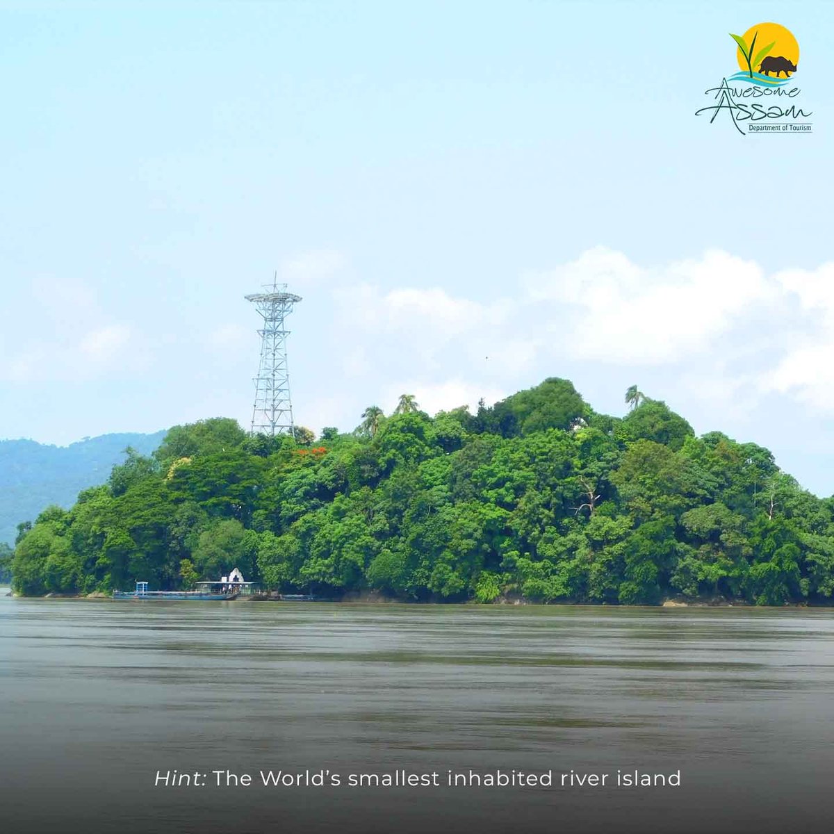 Awesome Assam tweet media