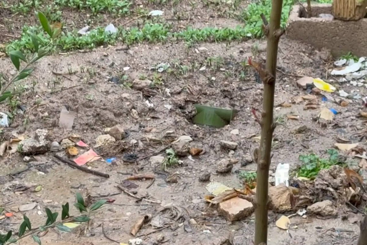 Panam naval tweet media