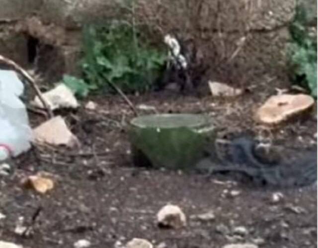 Panam naval tweet media