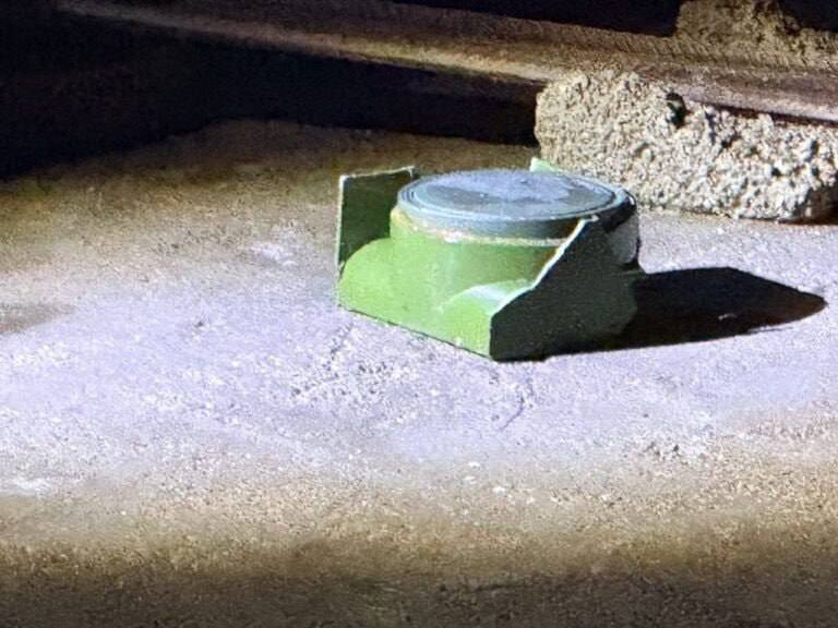 Panam naval tweet media