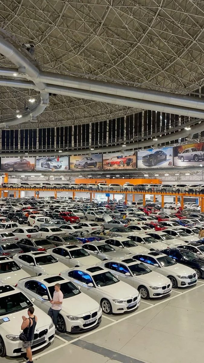 YOU’LL OWN A CAR THIS YEAR! DON’T IGNORE IT. AFFIRM AMEN.
