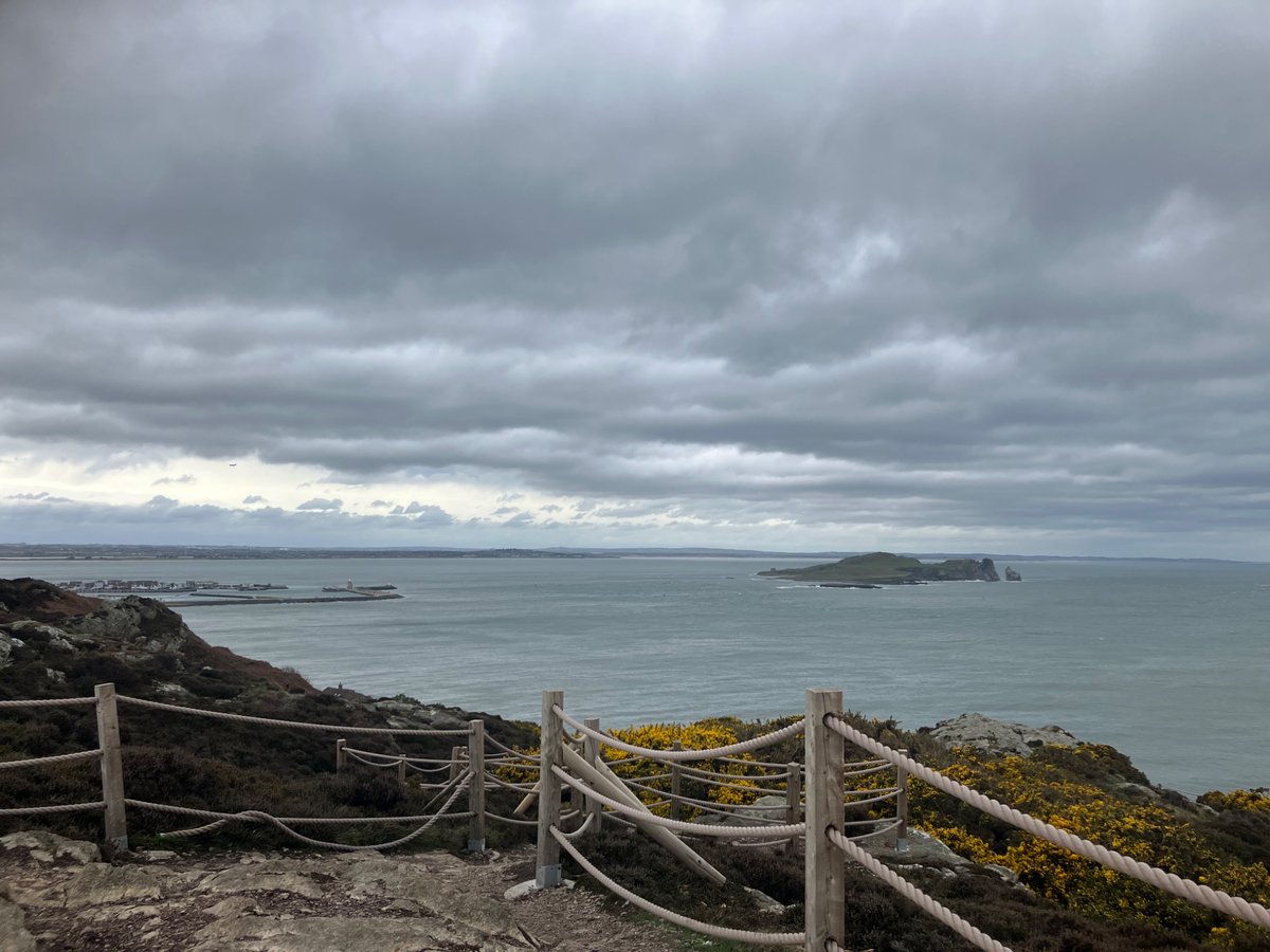 🦋ilo🦋 tweet media