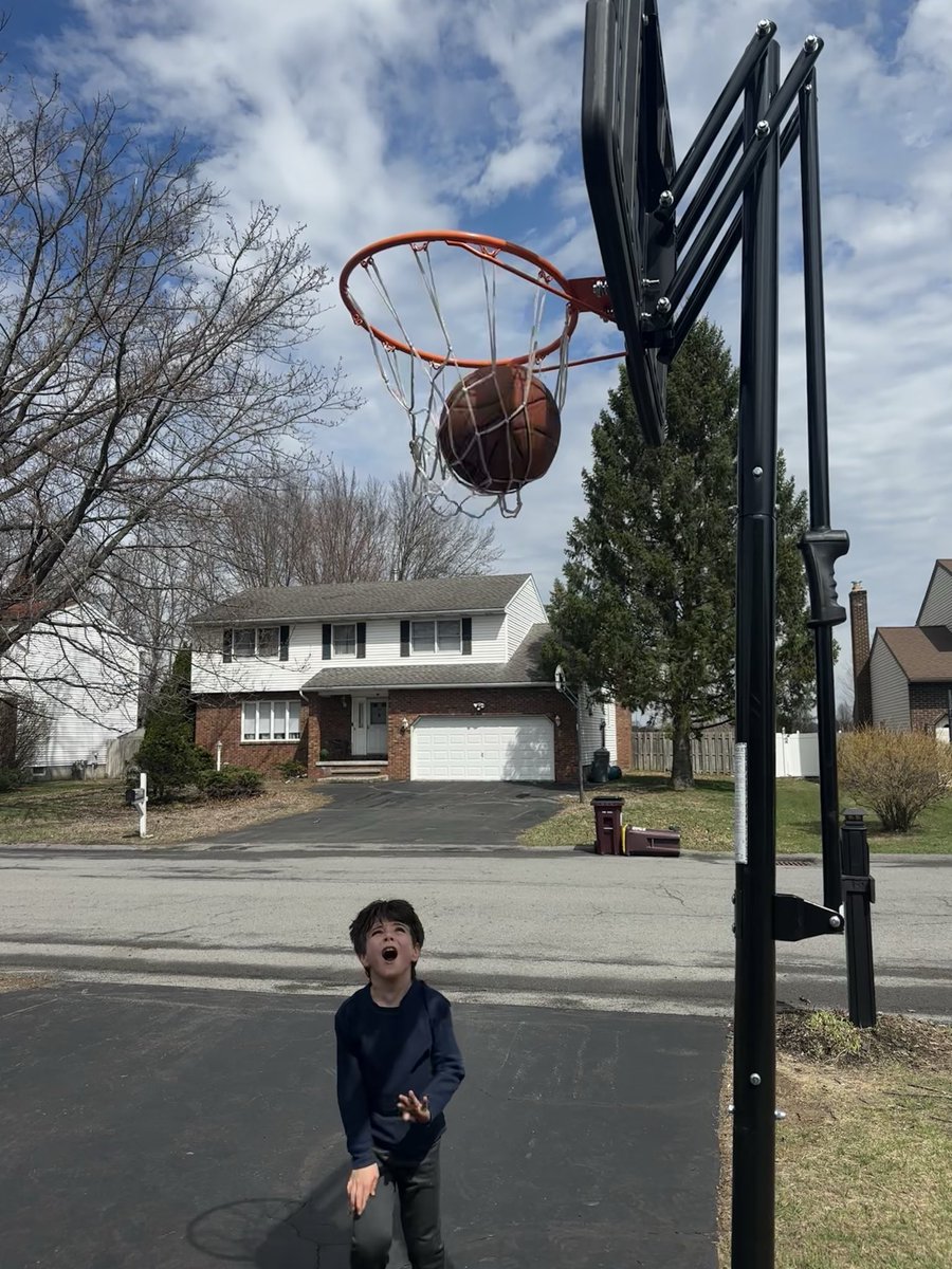 t ☮️ 🌻 tweet media