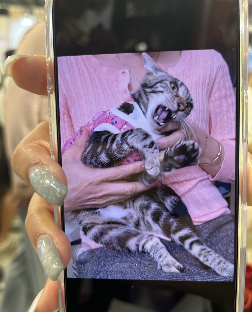 Twofeetcat tweet media