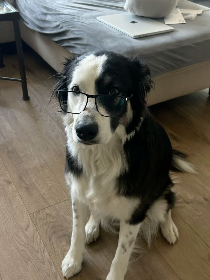 ivy ENHYPEN IS 7 tweet media