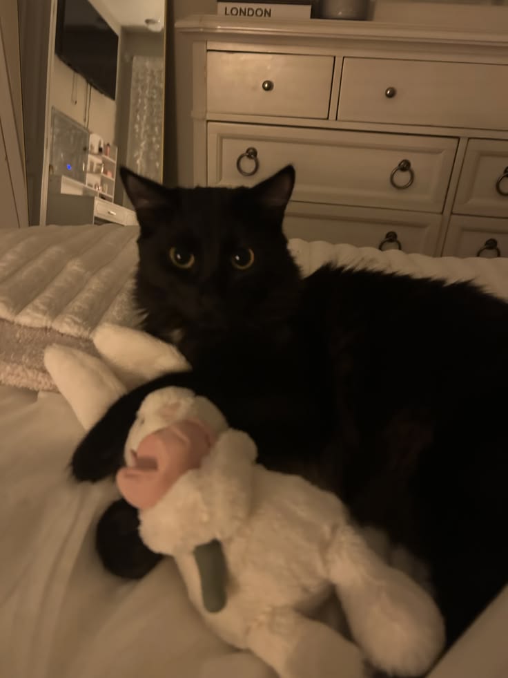 ivy ENHYPEN IS 7 tweet media