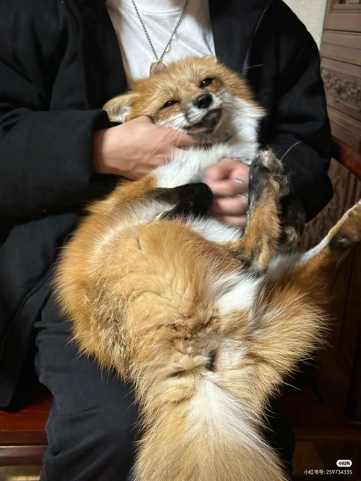 ivy ENHYPEN IS 7 tweet media