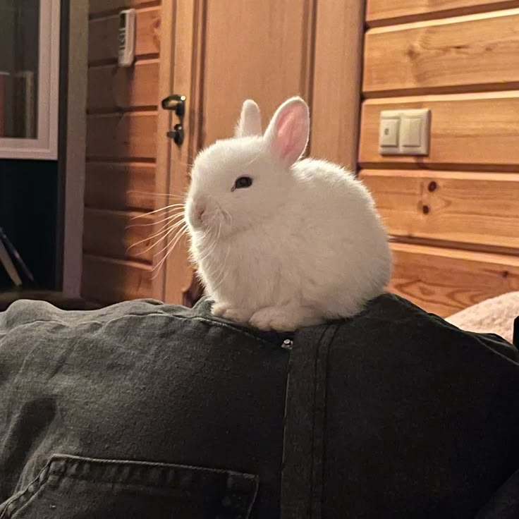 ivy ENHYPEN IS 7 tweet media