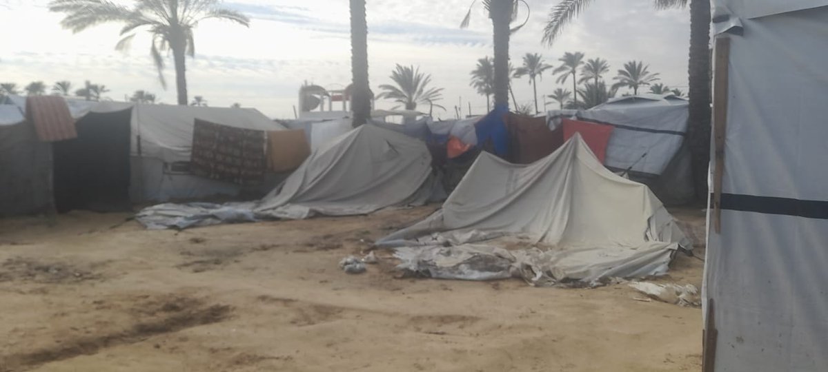 SJrghwn12097's tweet photo. @AntiTrumpCanada @MsDugibbley https://t.co/Ly3nrzdMKP
Hello, I'm Suleiman from Gaza. The situation here is very difficult, my brother. There's no food and we don't have a tent to protect us from the cold. I want to buy a tent; our shelter is gone because of the war. Please 
support me. 💔🙏🥹 https://t.co/98RhWYjZpT