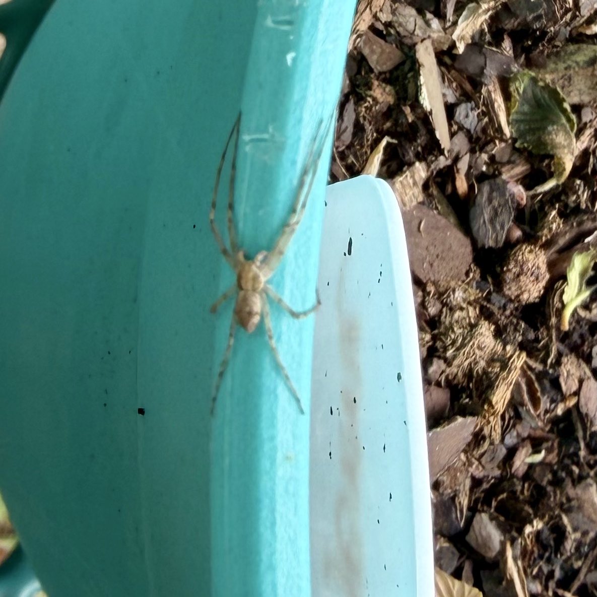 🎀Tuggs🎀✝️ tweet media