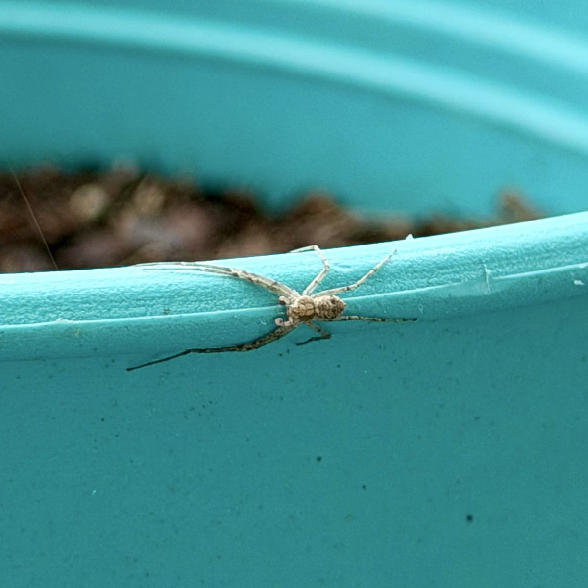 🎀Tuggs🎀✝️ tweet media