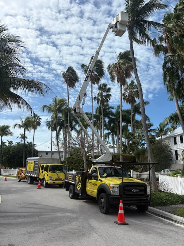 Ben Bortner tweet media