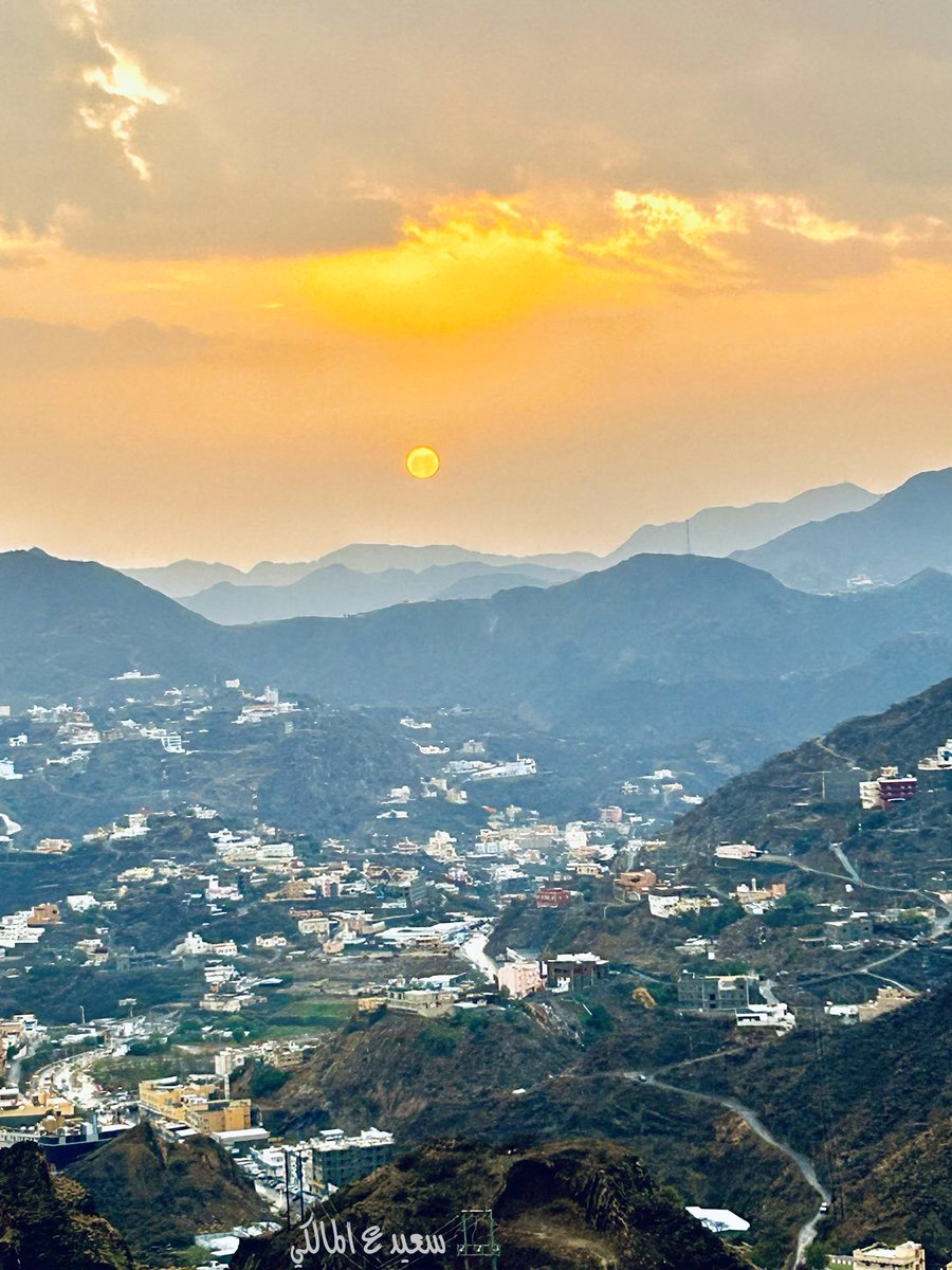 سعيد المالكي tweet media