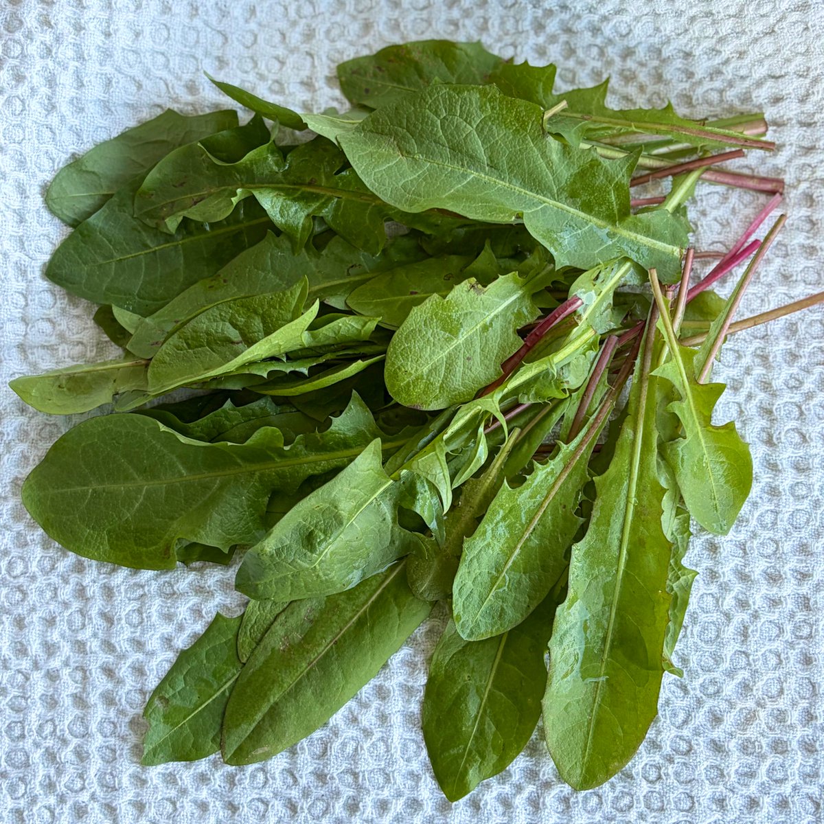 Американо без нічого tweet media