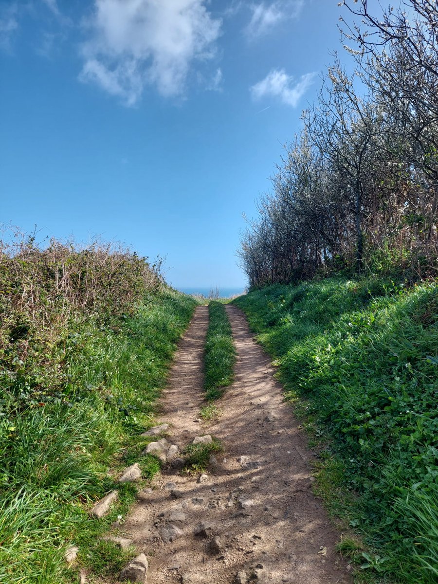 Fourcade Béatrice tweet media