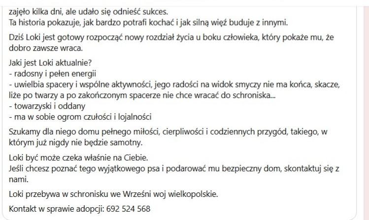 Robwalka Wolf tweet media