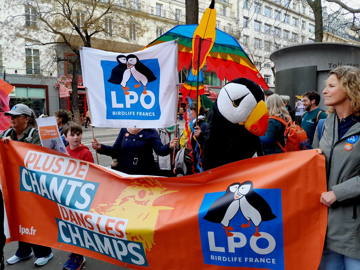 Lionel C. tweet media