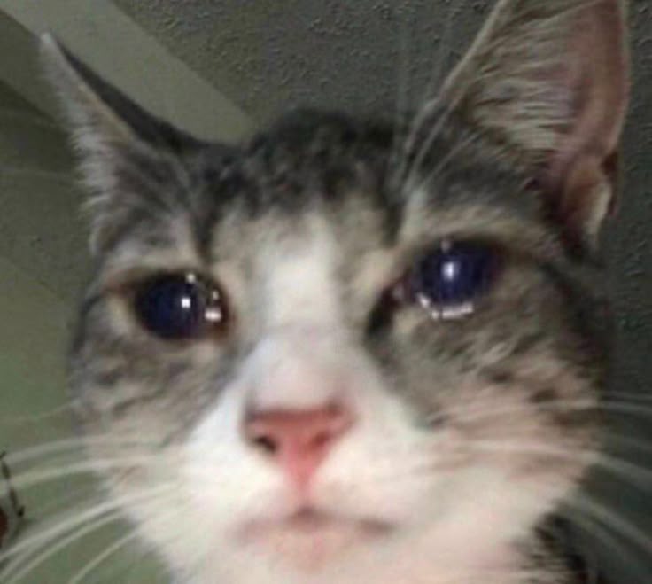 norii ๐ tweet media