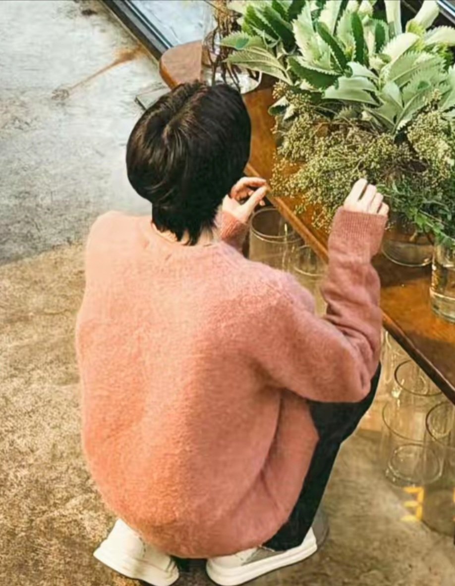 love star ☘️Oaae 🌟 🦋🍁 🐰🌊 tweet media