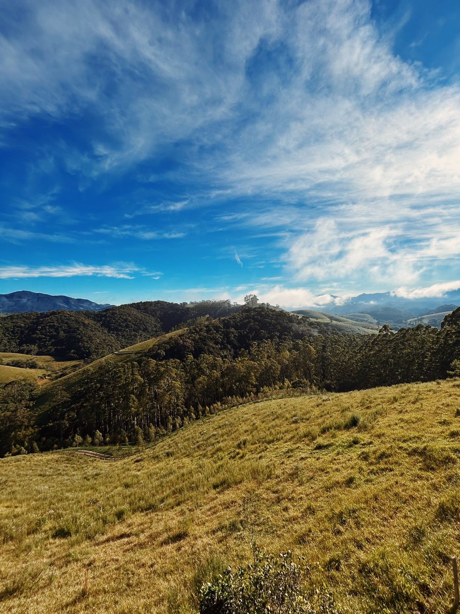 gui veloso 🍃 tweet media