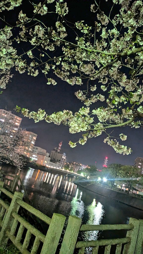 chage_gult's tweet photo. 今年はチームぐるみで🌸
また桜閃のみなさまとご一緒できて楽しかった https://t.co/q8oXRB3S2d