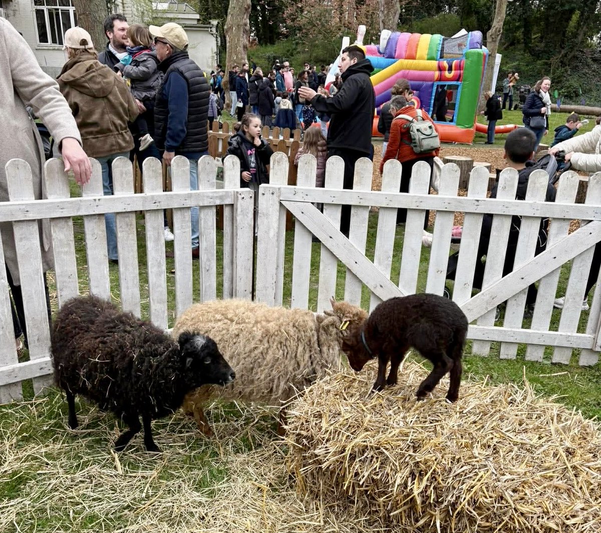 Martine Arlabosse tweet media