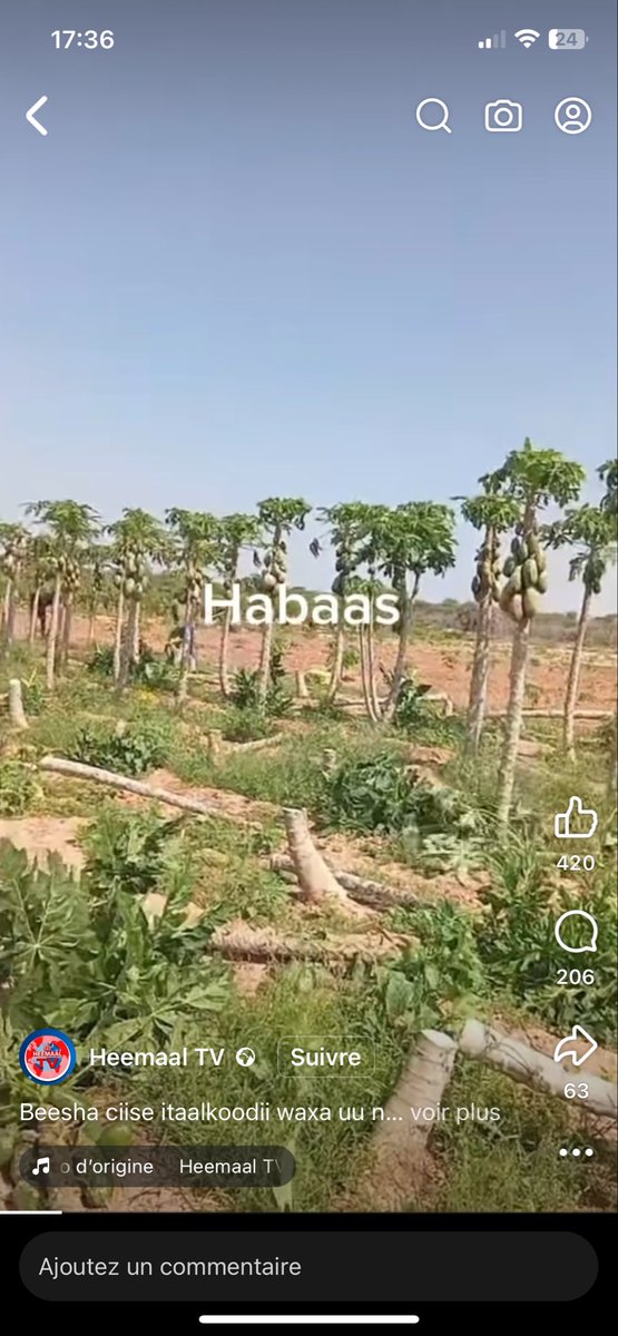 cadaad joog tweet media