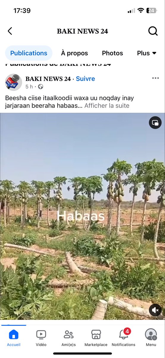 cadaad joog tweet media