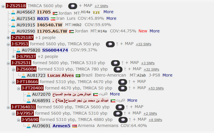 Lucas Alves 🇧🇷 tweet media