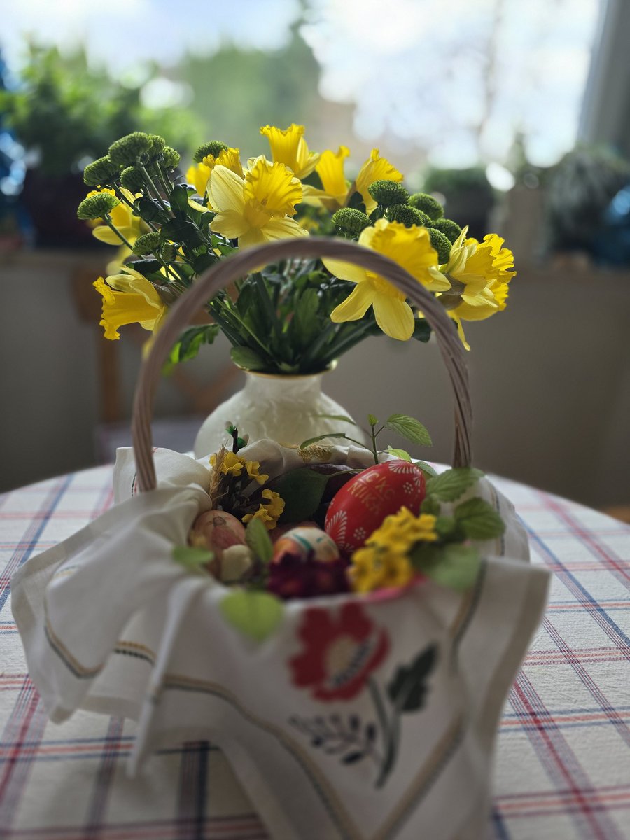 Kot Filemon tweet media