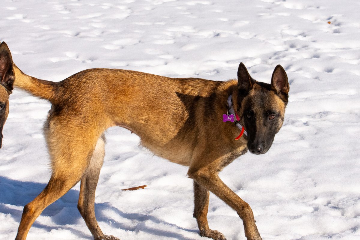 The Only James Magelk tweet media