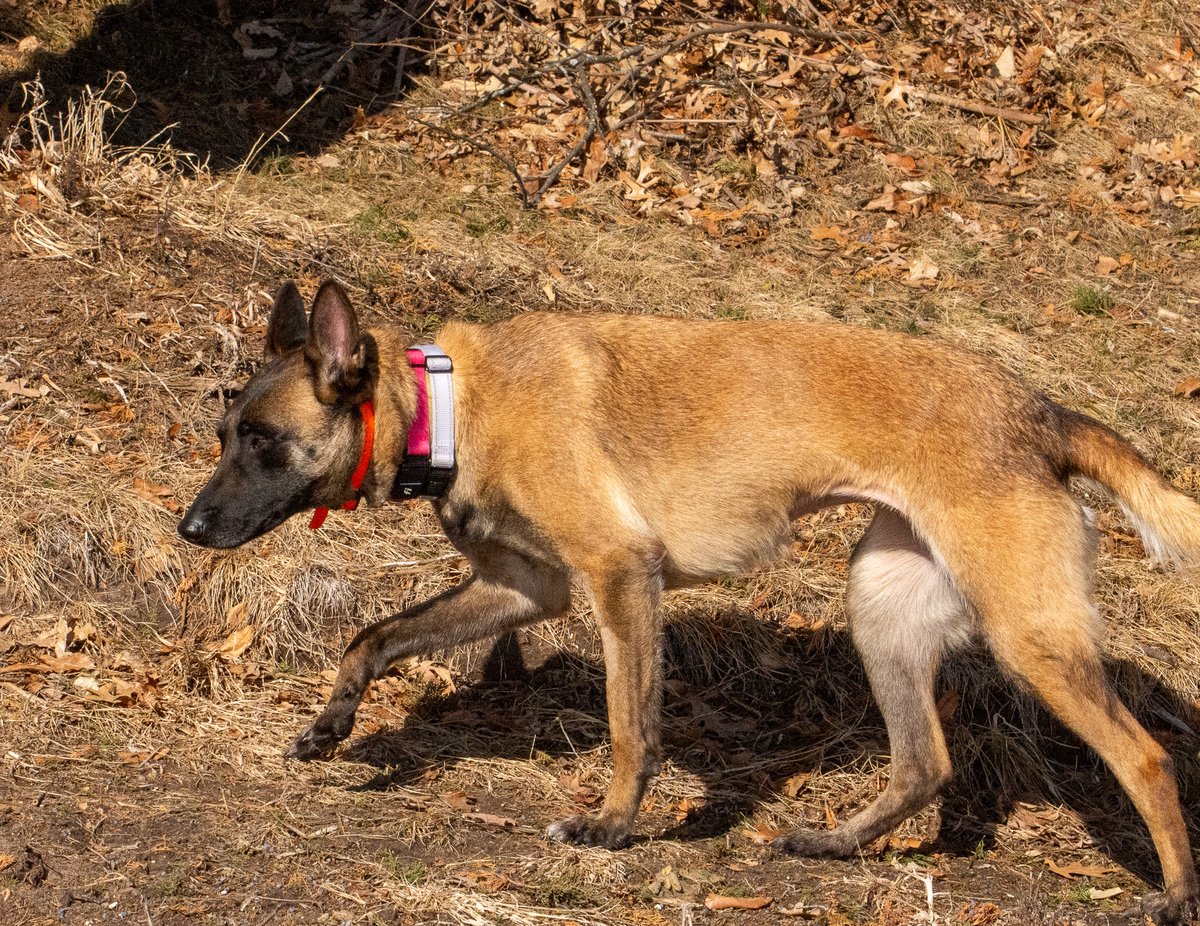 The Only James Magelk tweet media