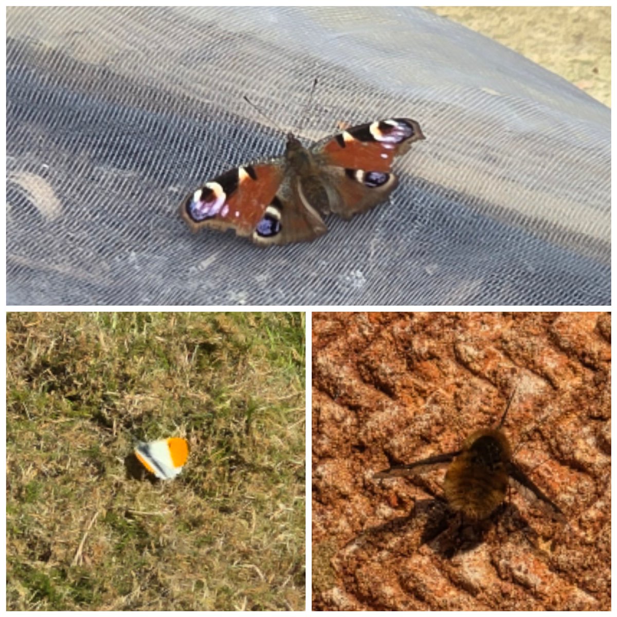 Steve Walker tweet media