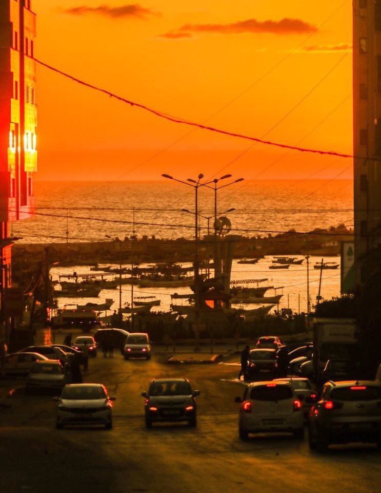 Dr. Yousef 🇵🇸 tweet media