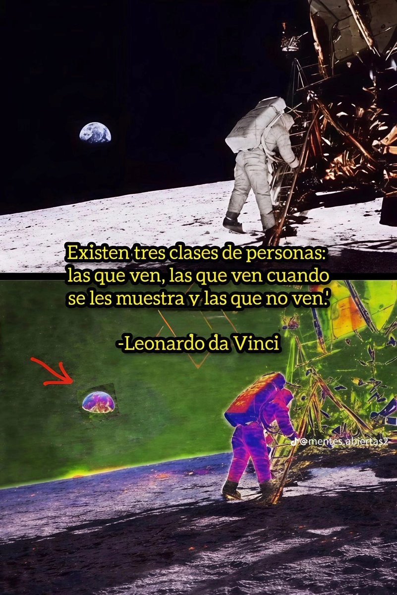 OneBrazzo tweet media