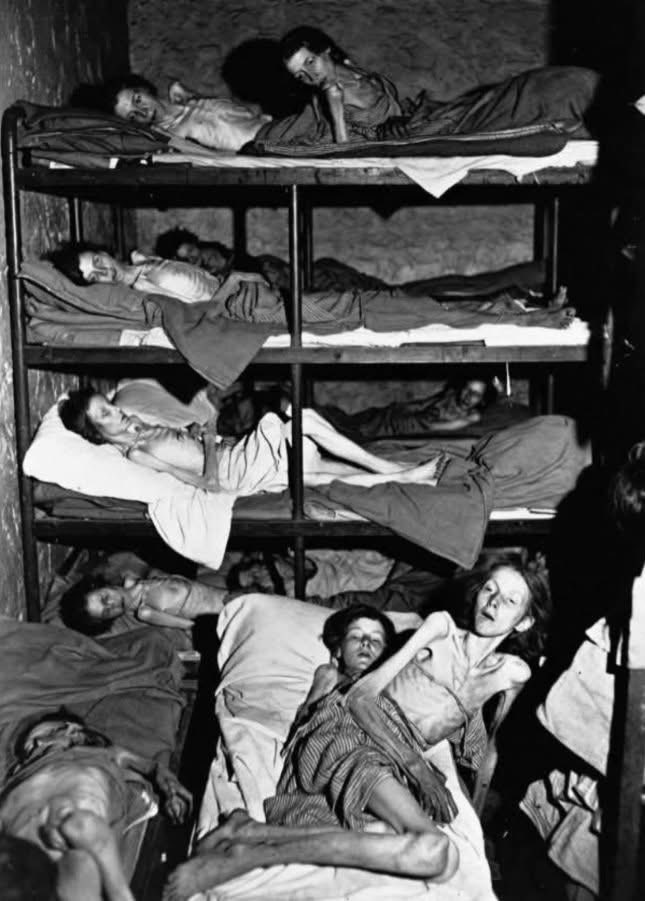 Mr PitBull tweet media