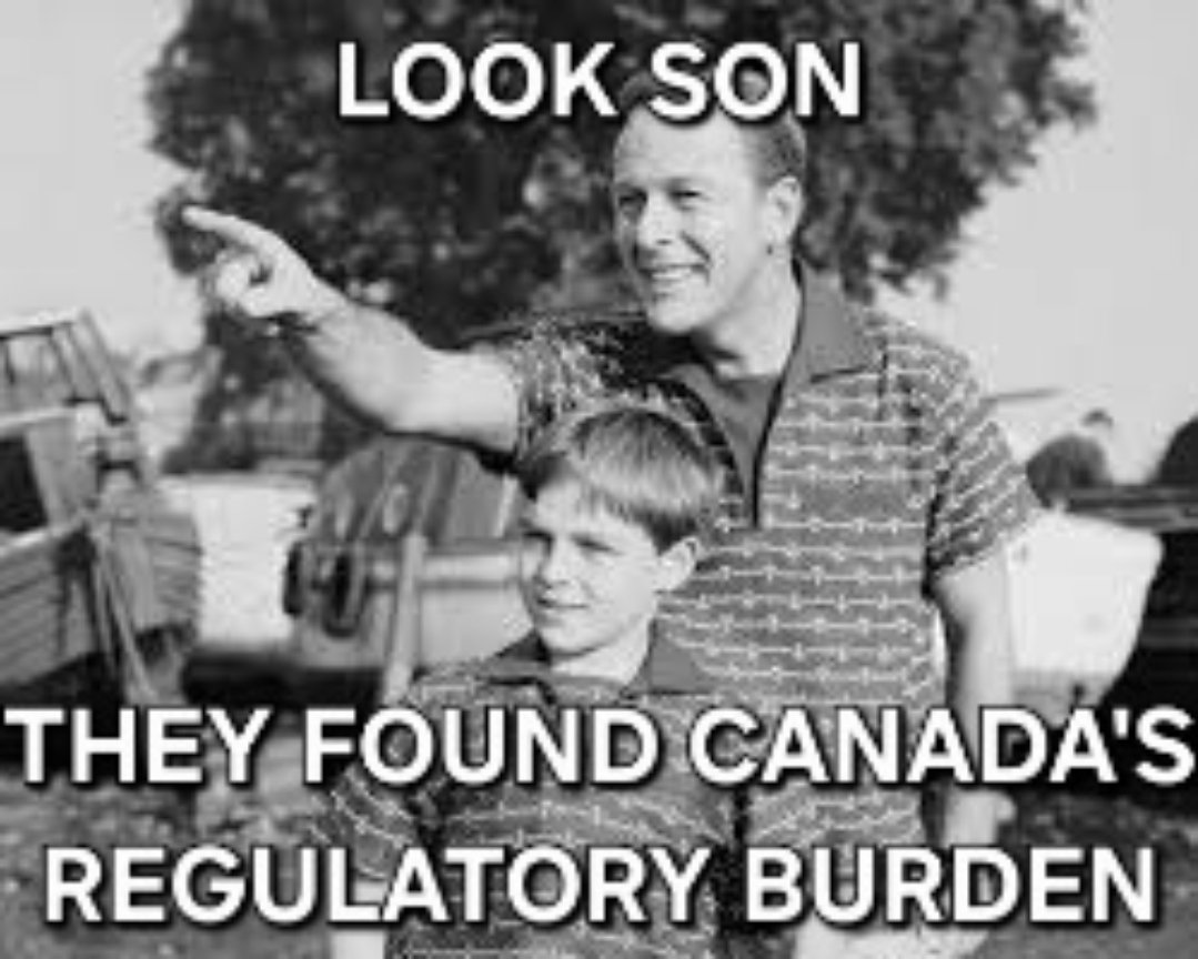 🍁👷♂️🏗 🛠 MeanwhileInCanada tweet media