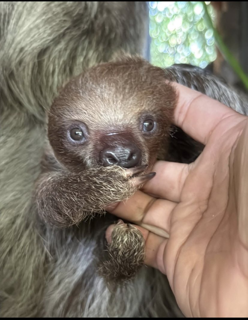 💰𝕭-𝕸𝖔𝖓𝖊𝖞 𝕮𝖗𝖞𝖕𝖙𝖔💰 tweet media