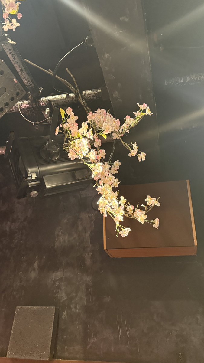 ゆめいchan tweet media