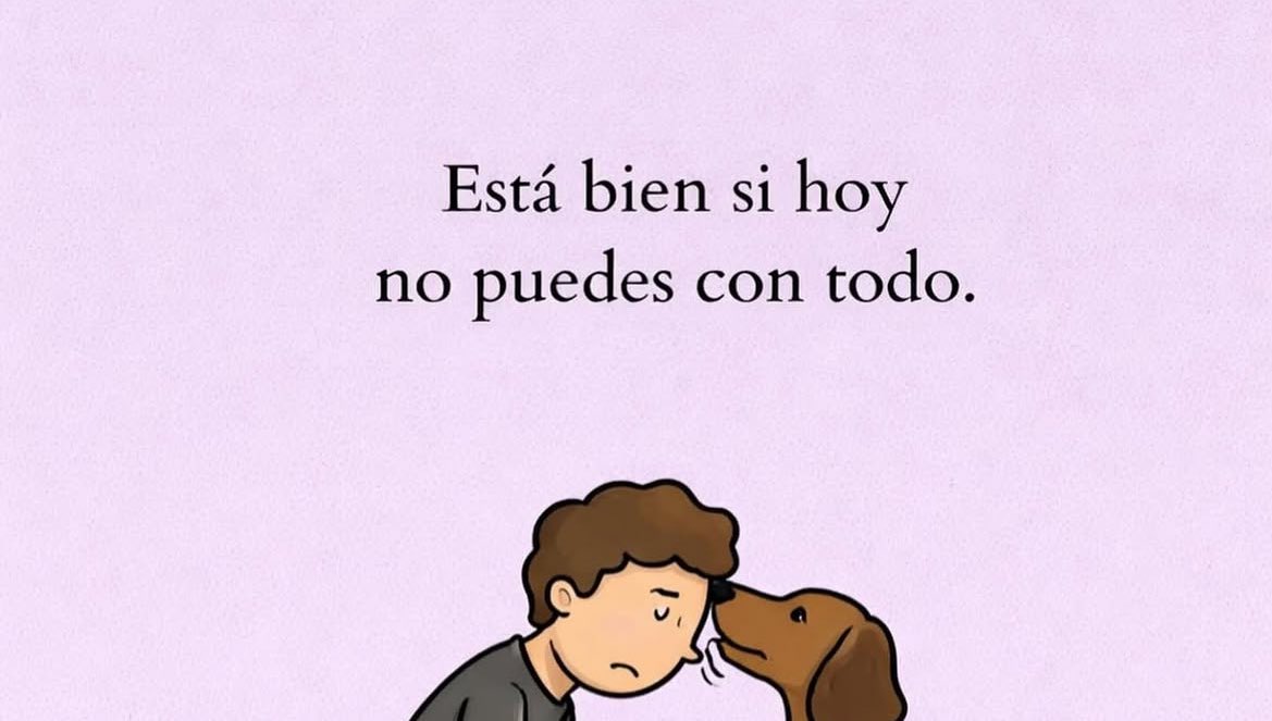 soy_mayyy's tweet photo. https://t.co/NRORzLtA6V