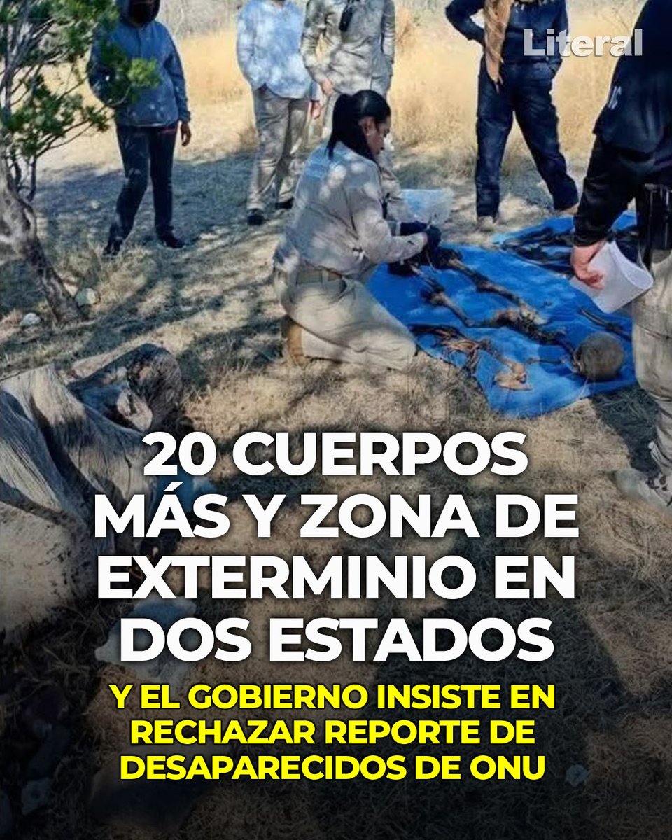 Literal México tweet media