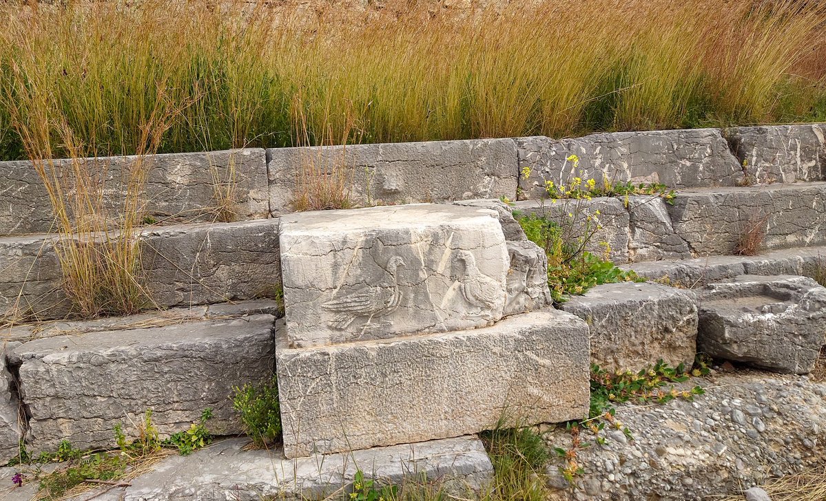 ふたば tweet media