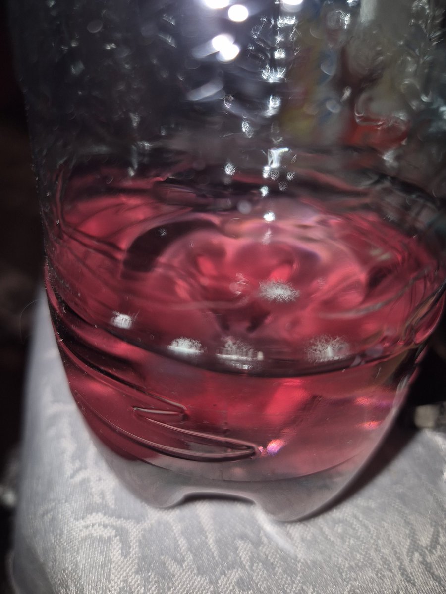 Tomek loves Randal! 🐈 tweet media