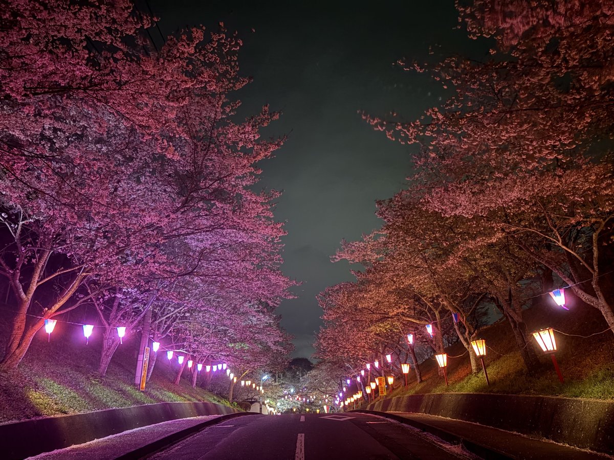 をかこ (ㅎ.ㅎ ) tweet media