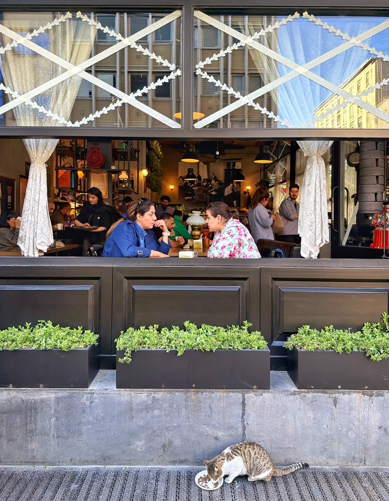 همایونی tweet media