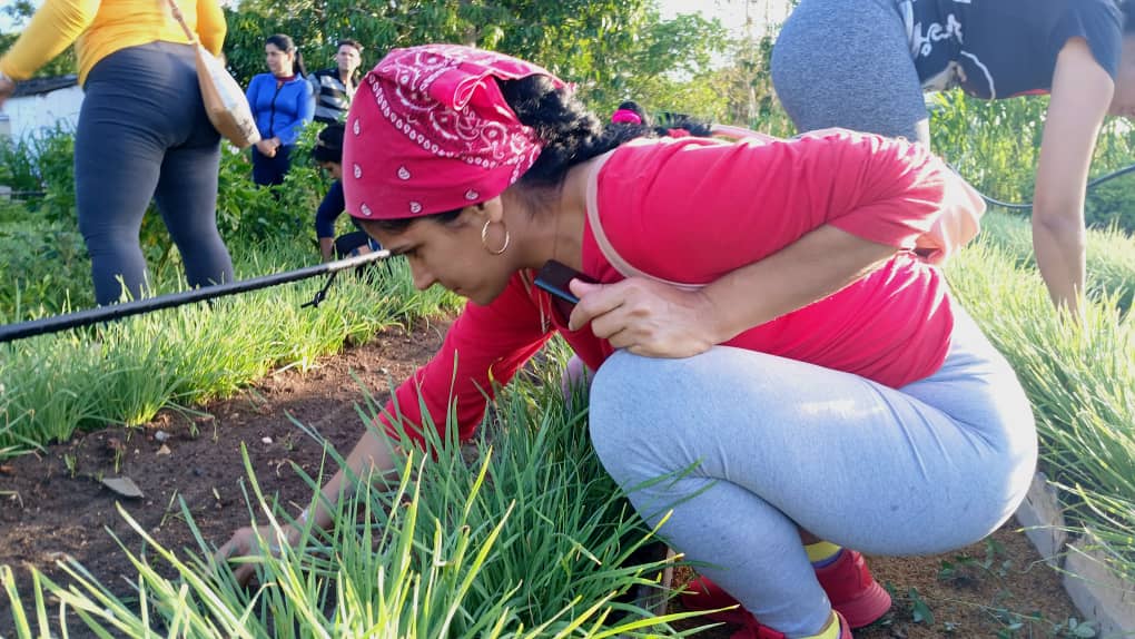 Con la fuerza de la juventud, se multiplican las acciones en el campo y la producción, reafirmando que el desarrollo económico es también una obra de unidad y de amor por la Patria.  
#SanctiSpíritusEnMarcha