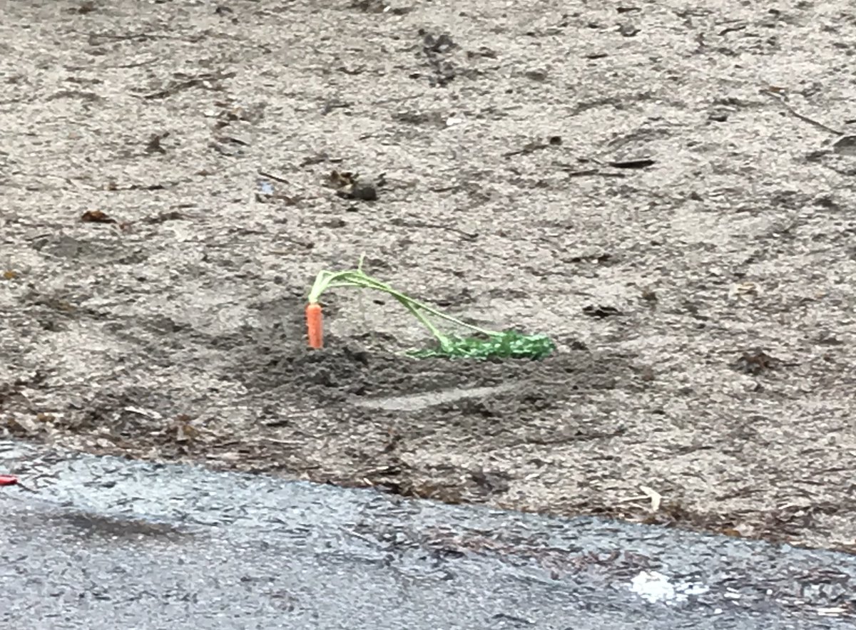 Jewel disc case 2 tweet media