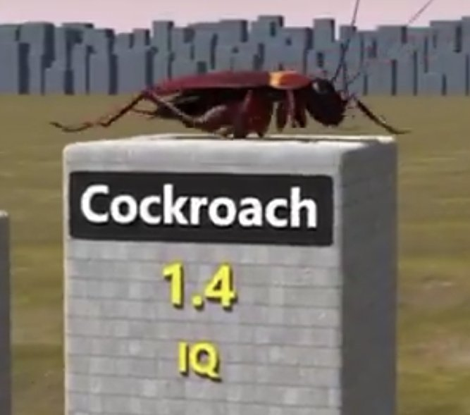 Orgeneral ☄ tweet media