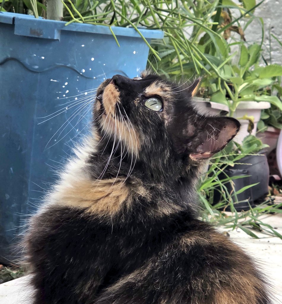 💜⁷ ⦿☰☲ tweet media